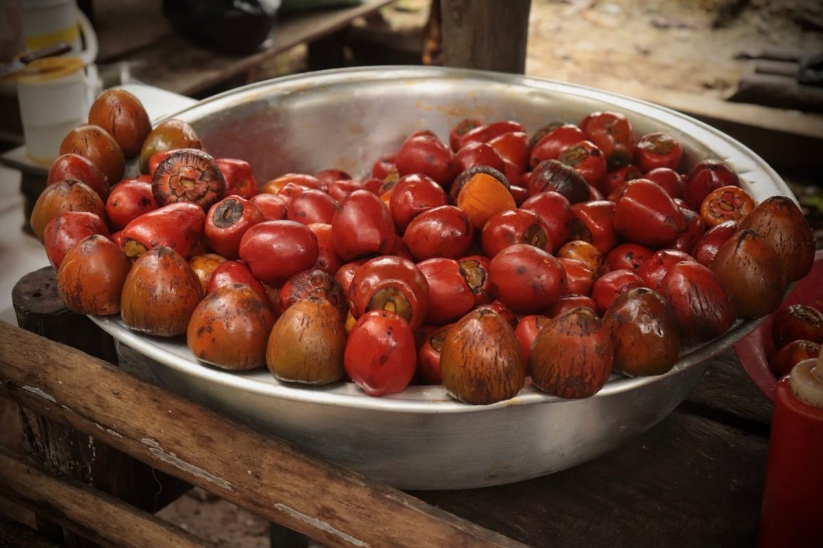 Harvest